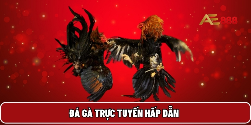 Đá gà trực tuyến hấp dẫn