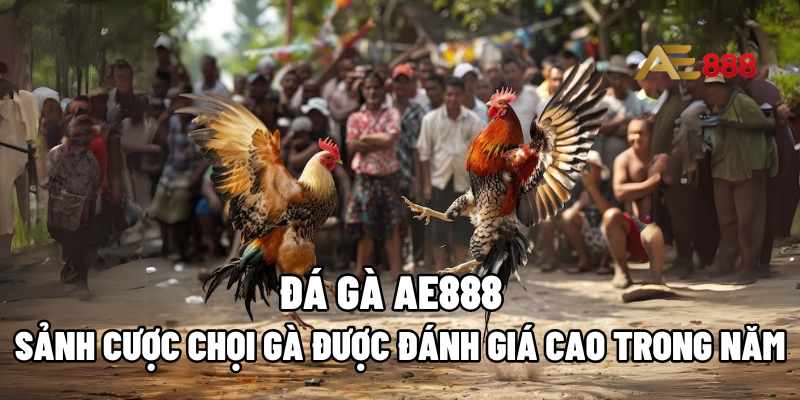 Đá gà AE888