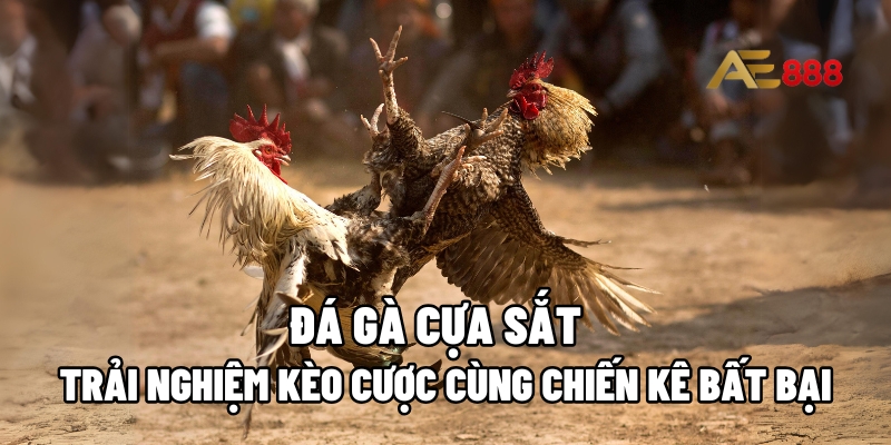 Đá gà cựa sắt