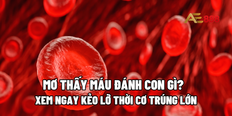 mơ thấy máu đánh con gì